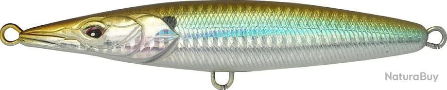 ASTURIE 130 - AJI 1 ASTURIE 130 - AJI