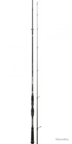 Bassforce Special Spinning CANNE BASSF.SP. 2,21M 6-30G