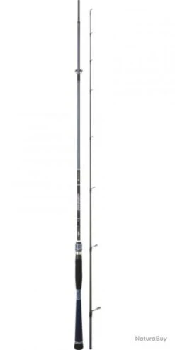 Divinity CANNE DIVINITY 2,20M 4-18G