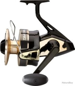 Gold Silver 100 B Moulinet Daiwa