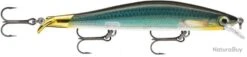 Leurre Rapala Ripstop 9 Cm CBN