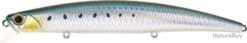Leurre Duo Tide Minnow 135 Surf SARDINE