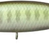 Leurre Illex Tiny Fry 50 Sp - 5Cm VAIRON