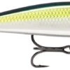 Leurre Rapala X-Rap Magnum Cast 10cm - 42g PILCHARD