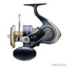 Daiwa MOULINET SALTIGA 20 20000 H