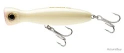 Poisson Nageur Yo-Zuri Mag Popper 160mm Bone