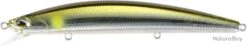 DUO TIDE MINNOW SPRAT 120SF - CRA3050 HALF MIRROR AYU