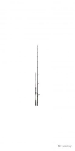 Bassforce Special Spinning CANNE BASSF.SP. 2,21M 6-30G -Magasin De Pêche Et De Sport 00003 Bassforce Special Spinning CANNE BASSF.SP . 2 21M 6 30G