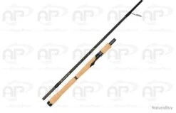 Canne Spinning Tenryu Injection SP 1+talon Noire 190cm 134gr 5-25gr 2,29m