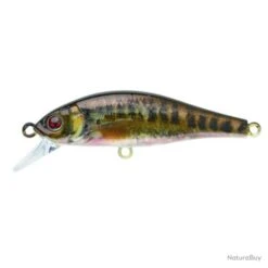 Leurre Coulant Sakura Flat Phoxy Minnow Hw - Real Life Vairon / 6 G / 5 Cm