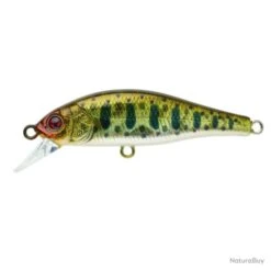 Leurre Coulant Sakura Flat Phoxy Minnow Hw - Real Life Vairon / 6 G / 5 Cm -Magasin De Pêche Et De Sport 00024 Leurre coulant Sakura Flat Phoxy Minnow Hw Real Life Vairon 6 g 5 cm