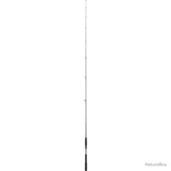 Canne Daiwa Prorex AGS Spinning - 2.44 M / XHFSBF / 2 -Magasin De Pêche Et De Sport 00092 Canne Daiwa Prorex AGS Spinning 2.44 m XHFSBF 2